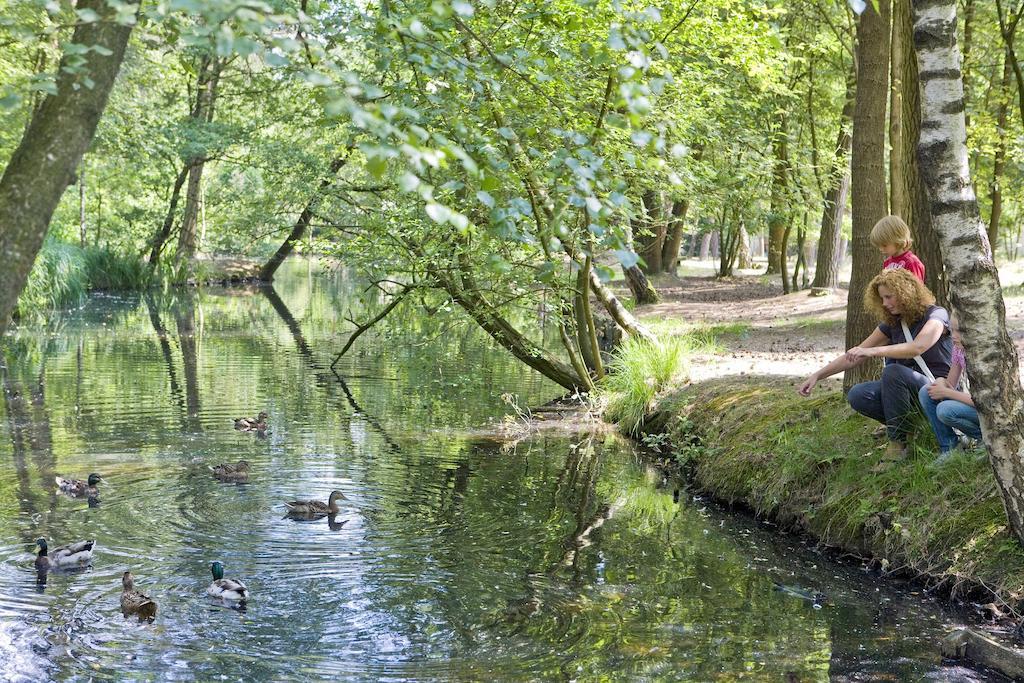 Center Parcs Meerdal Limburg-Brabant America Eksteriør billede