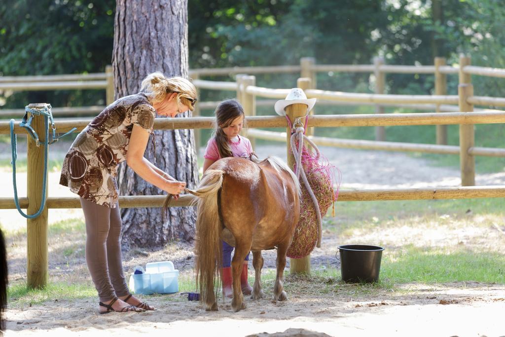 Center Parcs Meerdal Limburg-Brabant America Eksteriør billede