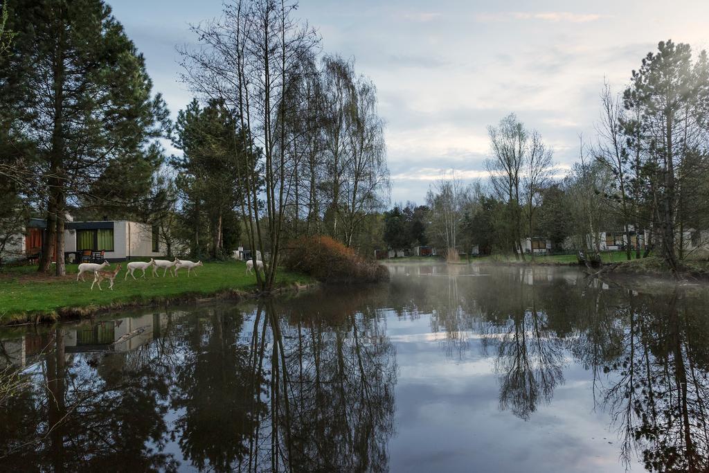 Center Parcs Meerdal Limburg-Brabant America Eksteriør billede