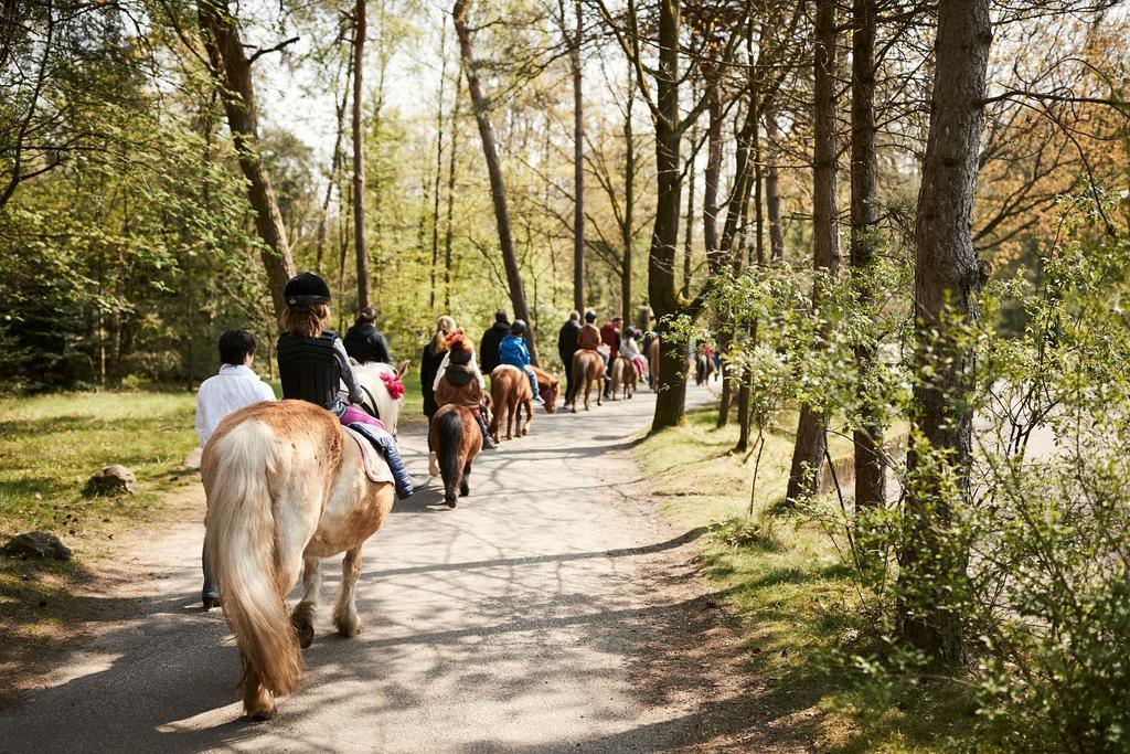 Center Parcs Meerdal Limburg-Brabant America Eksteriør billede