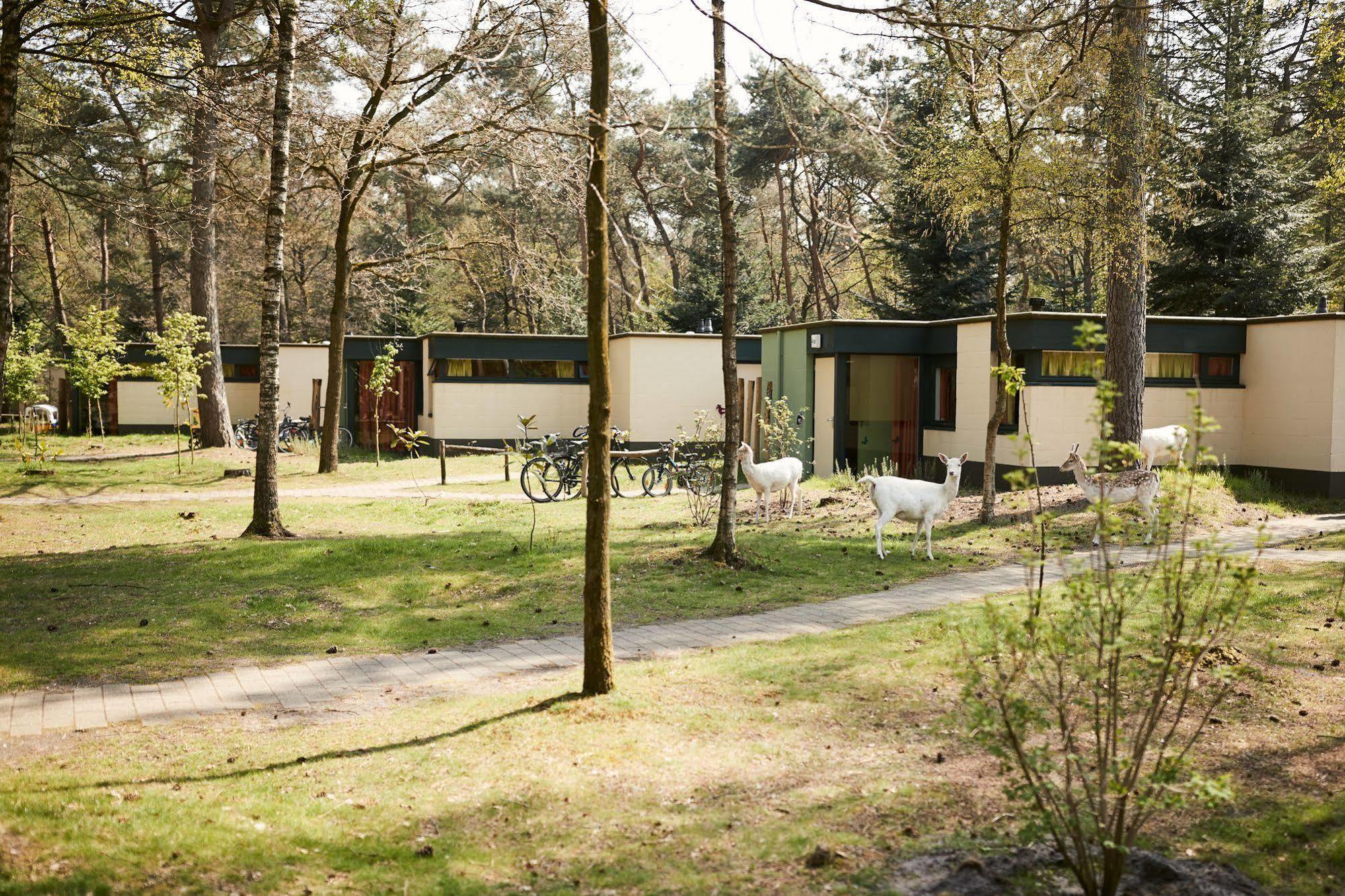 Center Parcs Meerdal Limburg-Brabant America Eksteriør billede